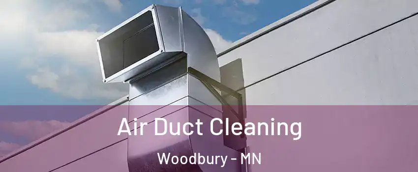  Air Duct Cleaning Woodbury - MN