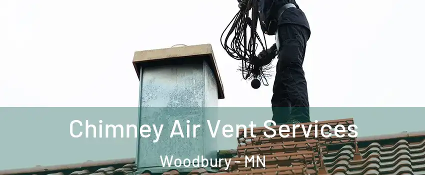  Chimney Air Vent Services Woodbury - MN