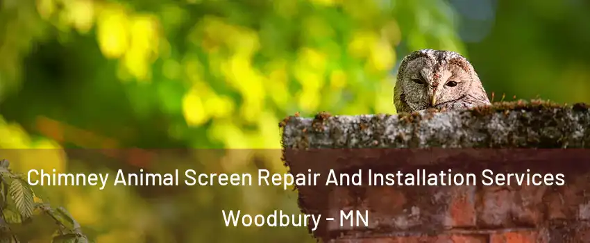  Chimney Animal Screen Repair And Installation Services Woodbury - MN