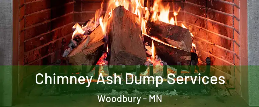  Chimney Ash Dump Services Woodbury - MN