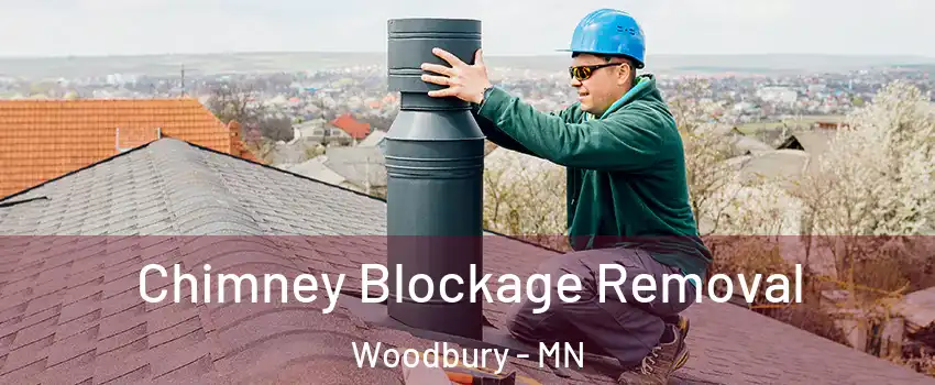  Chimney Blockage Removal Woodbury - MN