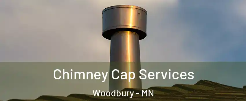  Chimney Cap Services Woodbury - MN