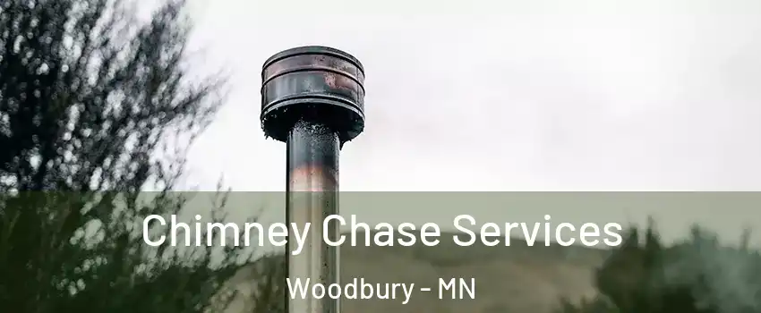  Chimney Chase Services Woodbury - MN