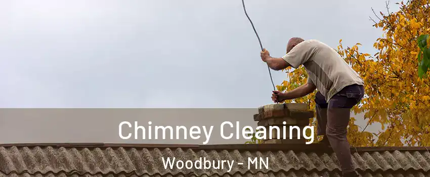  Chimney Cleaning Woodbury - MN