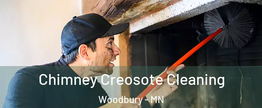  Chimney Creosote Cleaning Woodbury - MN