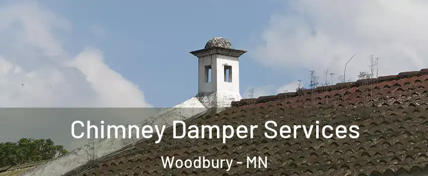  Chimney Damper Services Woodbury - MN