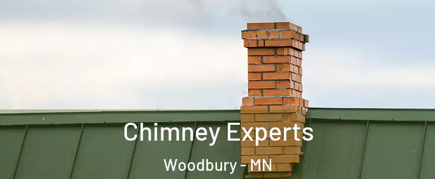 Chimney Experts Woodbury - MN