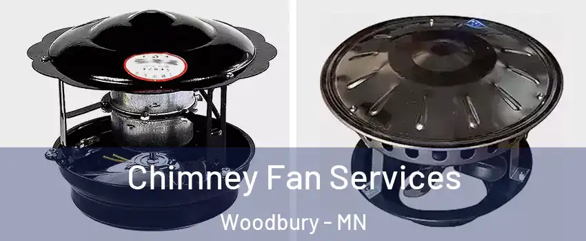  Chimney Fan Services Woodbury - MN