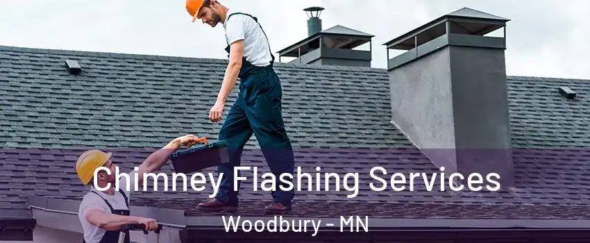 Chimney Flashing Services Woodbury - MN