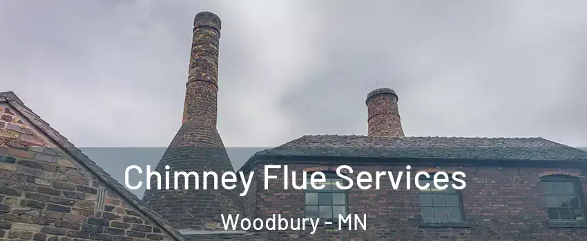  Chimney Flue Services Woodbury - MN