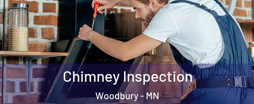 Chimney Inspection Woodbury - MN