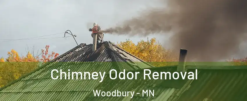  Chimney Odor Removal Woodbury - MN