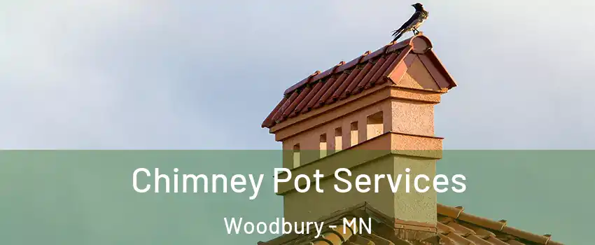  Chimney Pot Services Woodbury - MN