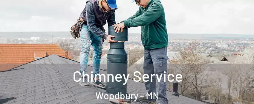  Chimney Service Woodbury - MN