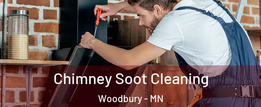  Chimney Soot Cleaning Woodbury - MN