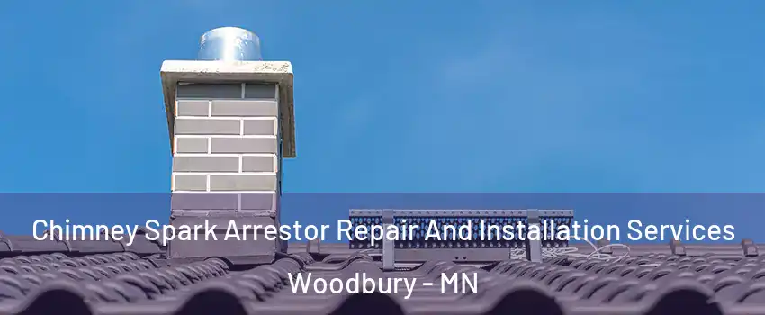  Chimney Spark Arrestor Repair And Installation Services Woodbury - MN