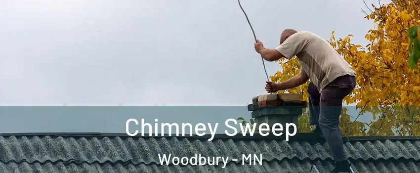  Chimney Sweep Woodbury - MN