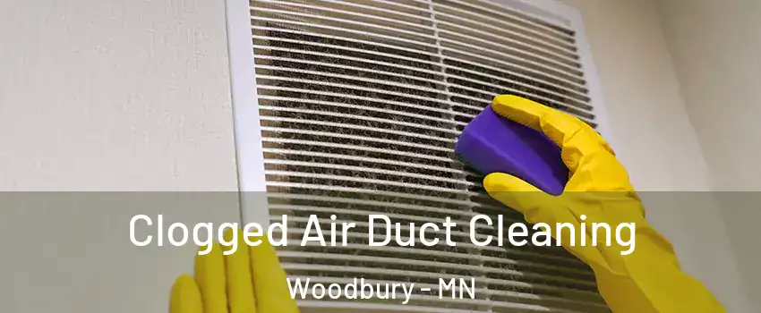  Clogged Air Duct Cleaning Woodbury - MN