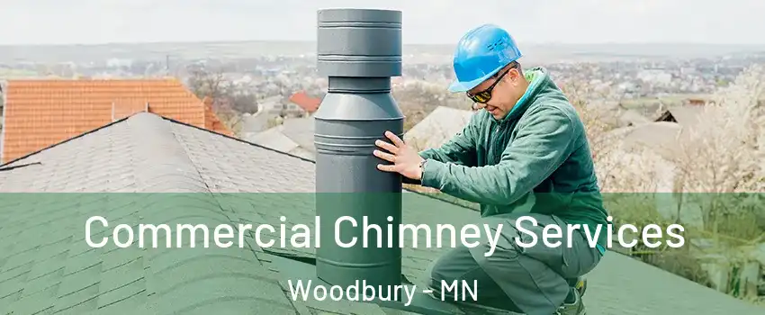  Commercial Chimney Services Woodbury - MN