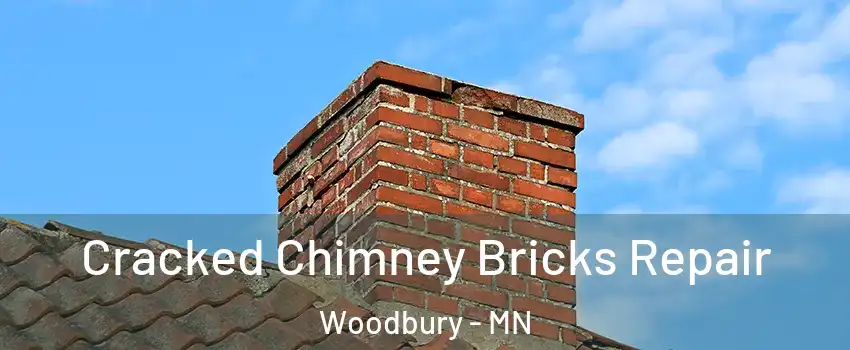  Cracked Chimney Bricks Repair Woodbury - MN