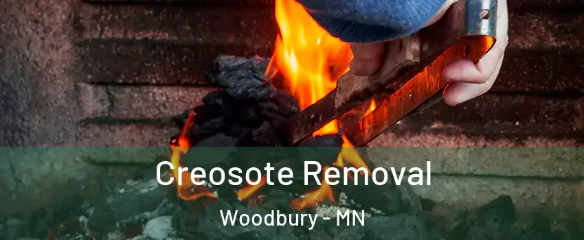  Creosote Removal Woodbury - MN