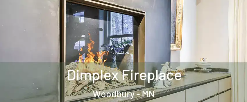  Dimplex Fireplace Woodbury - MN
