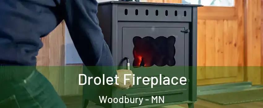  Drolet Fireplace Woodbury - MN