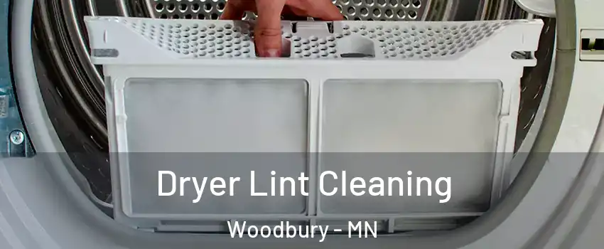  Dryer Lint Cleaning Woodbury - MN