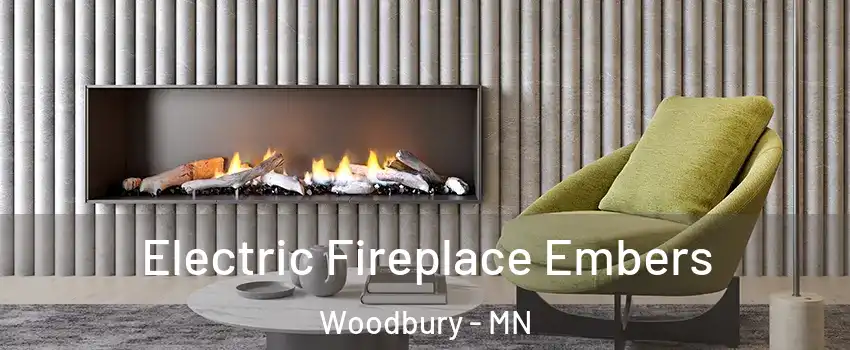  Electric Fireplace Embers Woodbury - MN