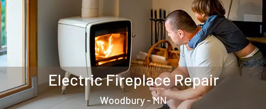  Electric Fireplace Repair Woodbury - MN