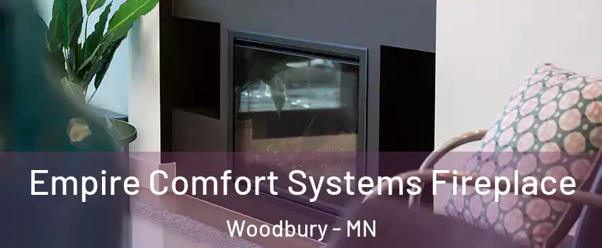  Empire Comfort Systems Fireplace Woodbury - MN
