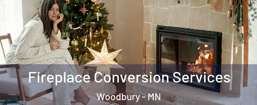  Fireplace Conversion Services Woodbury - MN
