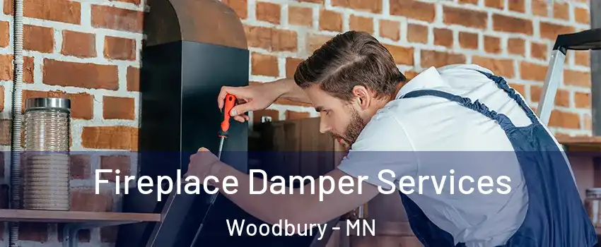  Fireplace Damper Services Woodbury - MN