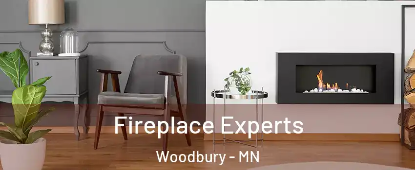  Fireplace Experts Woodbury - MN