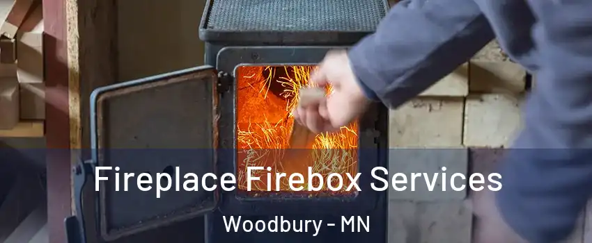  Fireplace Firebox Services Woodbury - MN