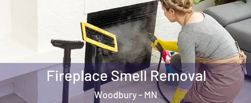  Fireplace Smell Removal Woodbury - MN
