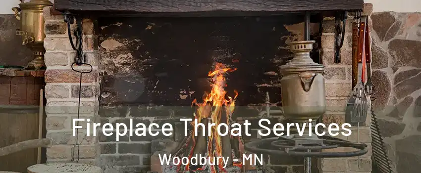  Fireplace Throat Services Woodbury - MN