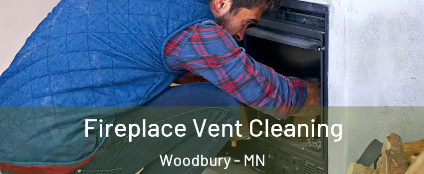  Fireplace Vent Cleaning Woodbury - MN