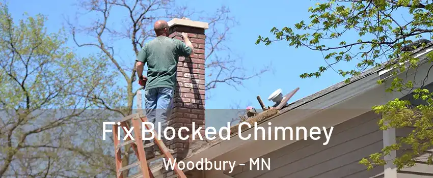  Fix Blocked Chimney Woodbury - MN