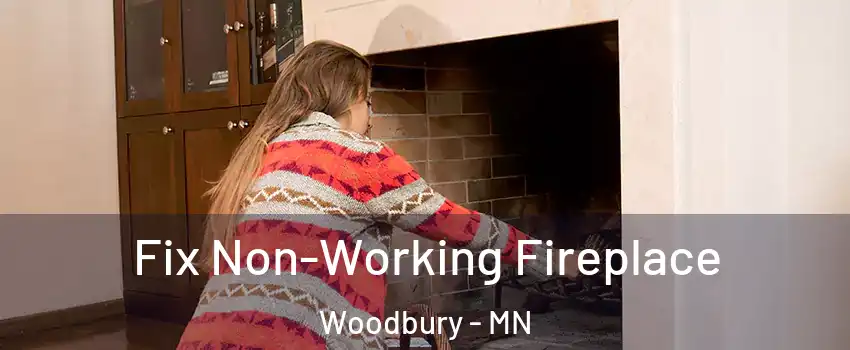  Fix Non-Working Fireplace Woodbury - MN