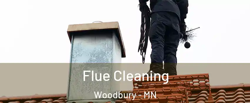  Flue Cleaning Woodbury - MN