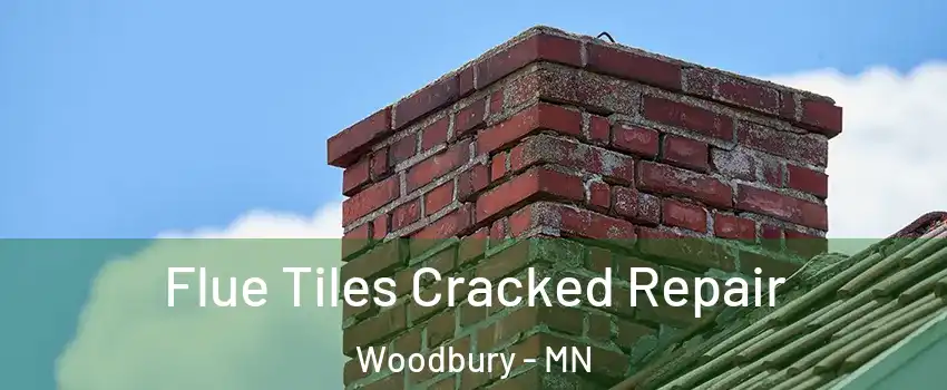  Flue Tiles Cracked Repair Woodbury - MN