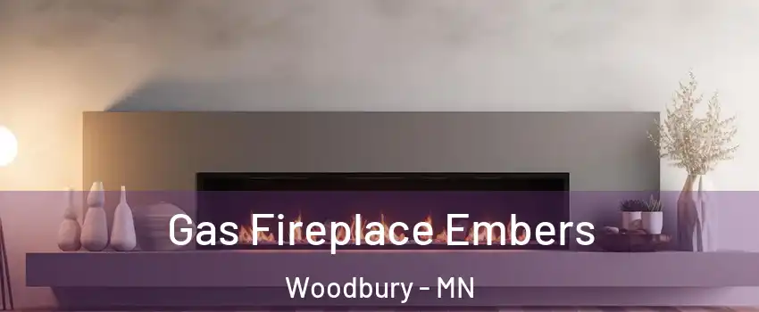  Gas Fireplace Embers Woodbury - MN