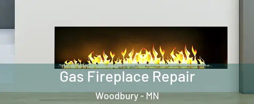  Gas Fireplace Repair Woodbury - MN