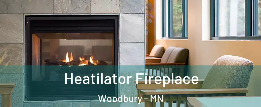  Heatilator Fireplace Woodbury - MN