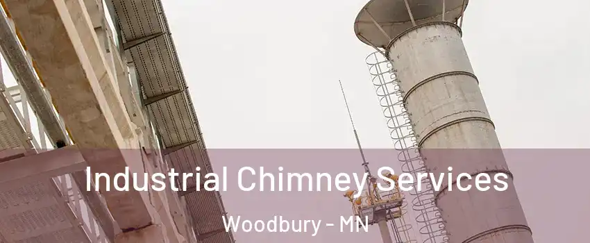  Industrial Chimney Services Woodbury - MN