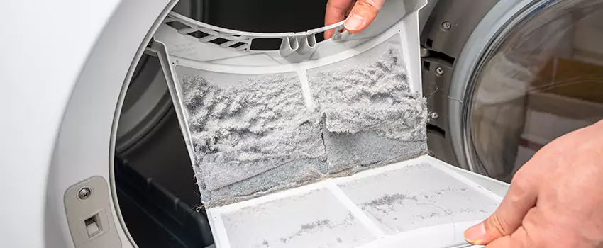Best Dryer Lint Removal Company in Woodbury, Minnesota