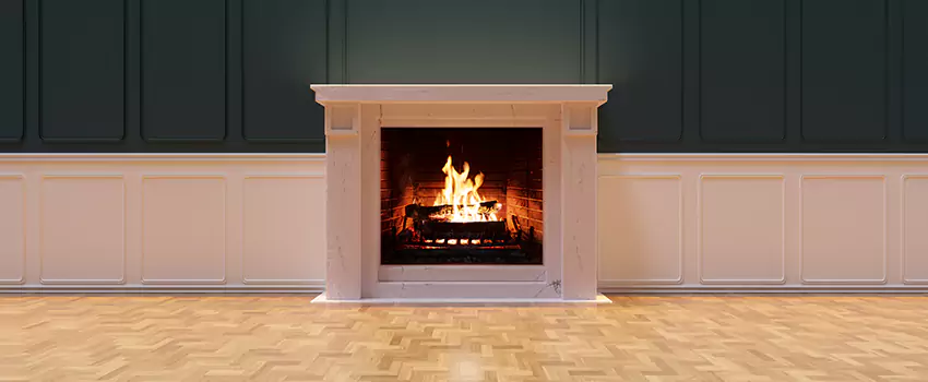 Napoleon Electric Fireplaces Inspection Service in Woodbury, Minnesota