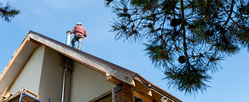 Birds Removal Contractors from Chimney in Woodbury, MN
