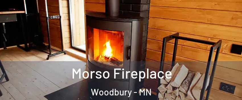  Morso Fireplace Woodbury - MN
